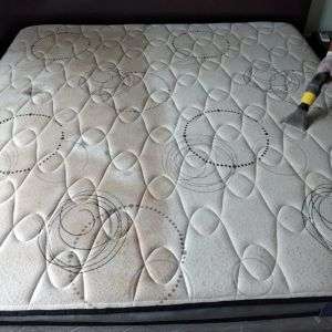 Como eliminar ácaros del colchon?