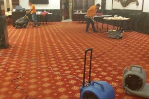 limpieza de alfombra en panama