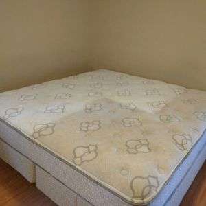 limpieza de colchones