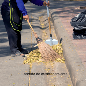 barrido de estacionamiento 1